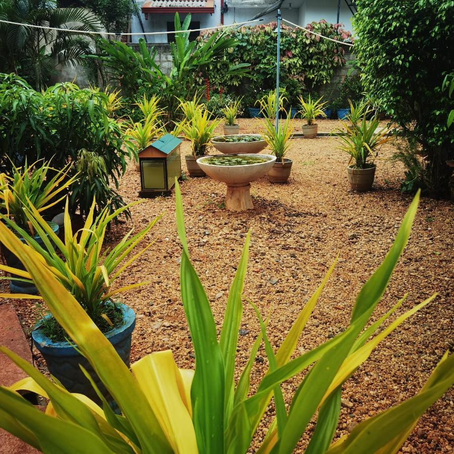 City Paradise Dambulla Exterior foto