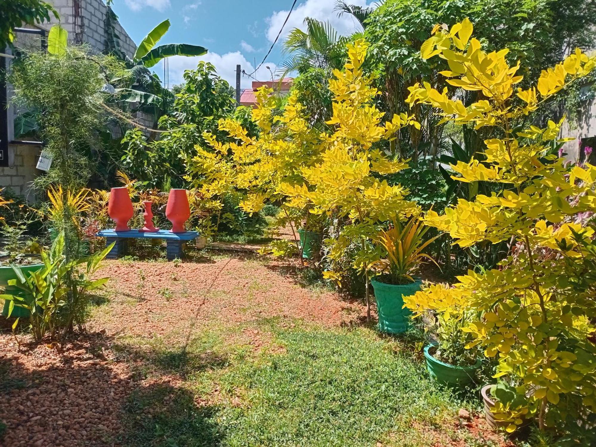 City Paradise Dambulla Exterior foto
