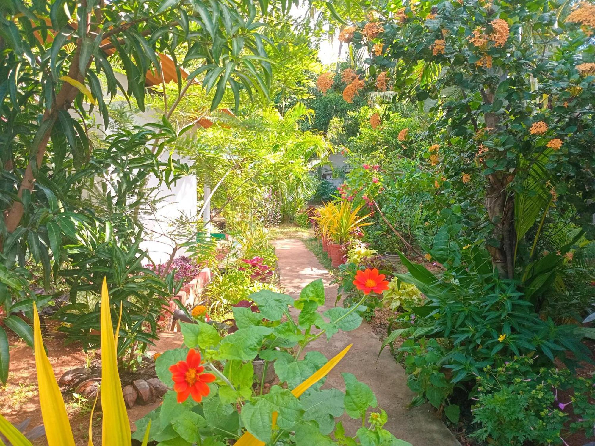 City Paradise Dambulla Exterior foto