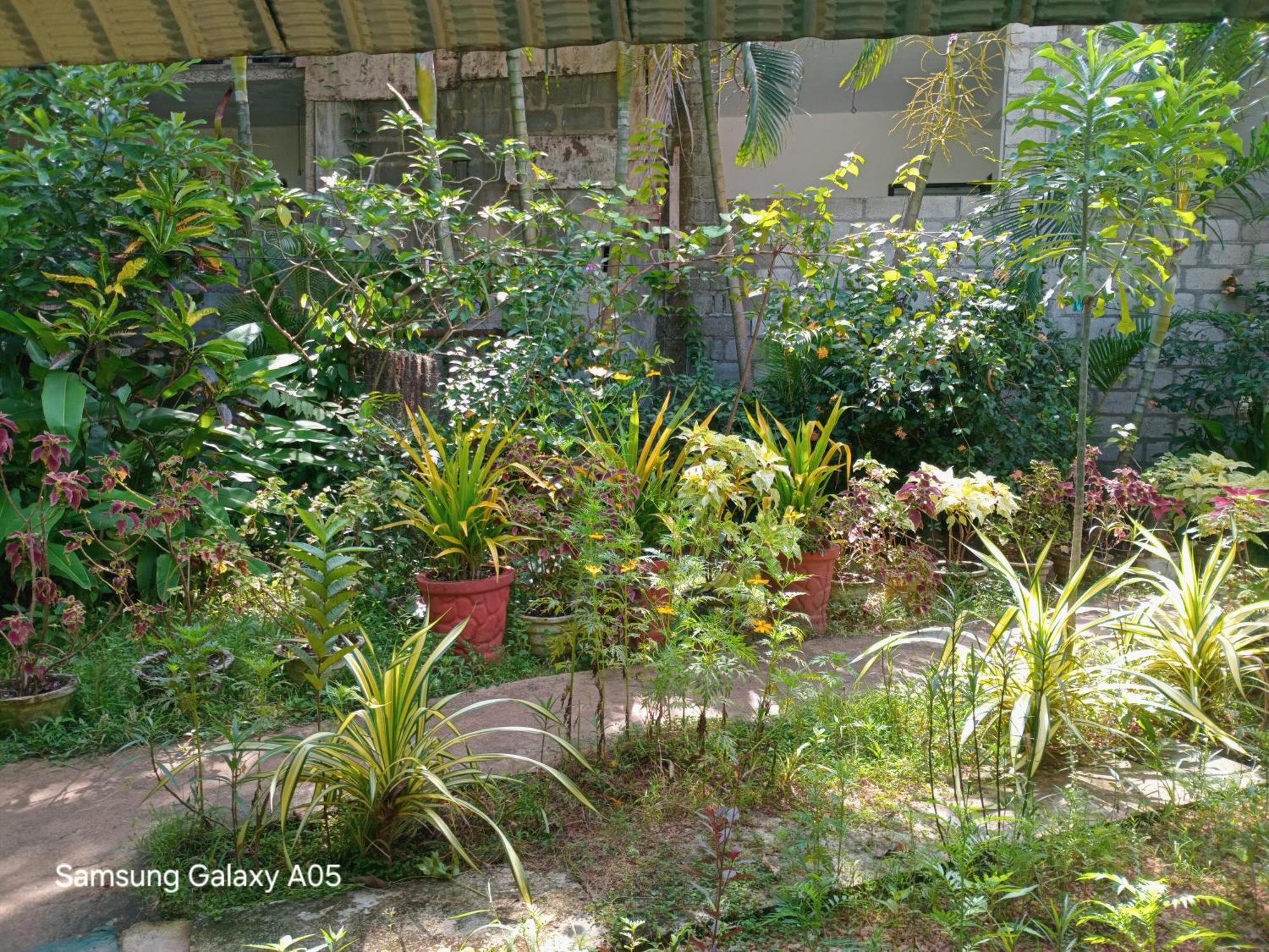 City Paradise Dambulla Exterior foto